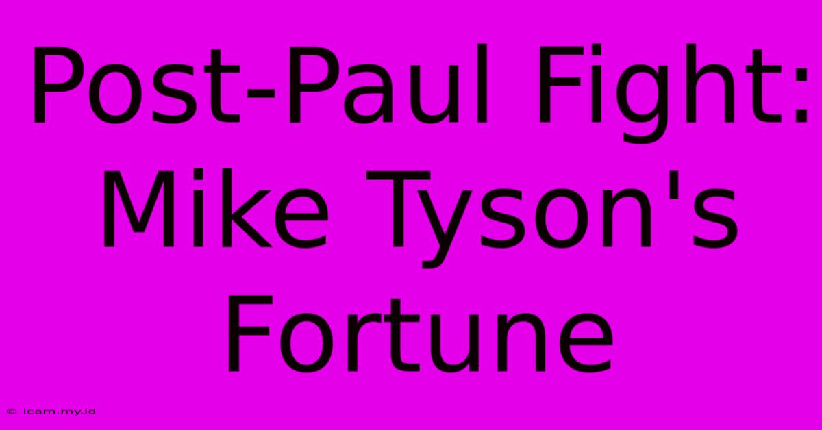 Post-Paul Fight: Mike Tyson's Fortune