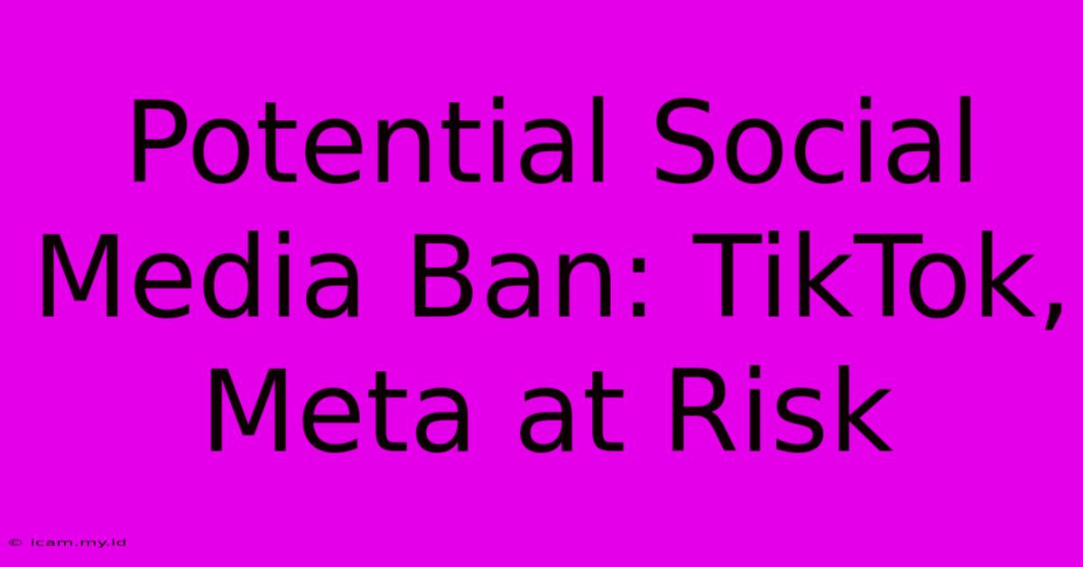 Potential Social Media Ban: TikTok, Meta At Risk