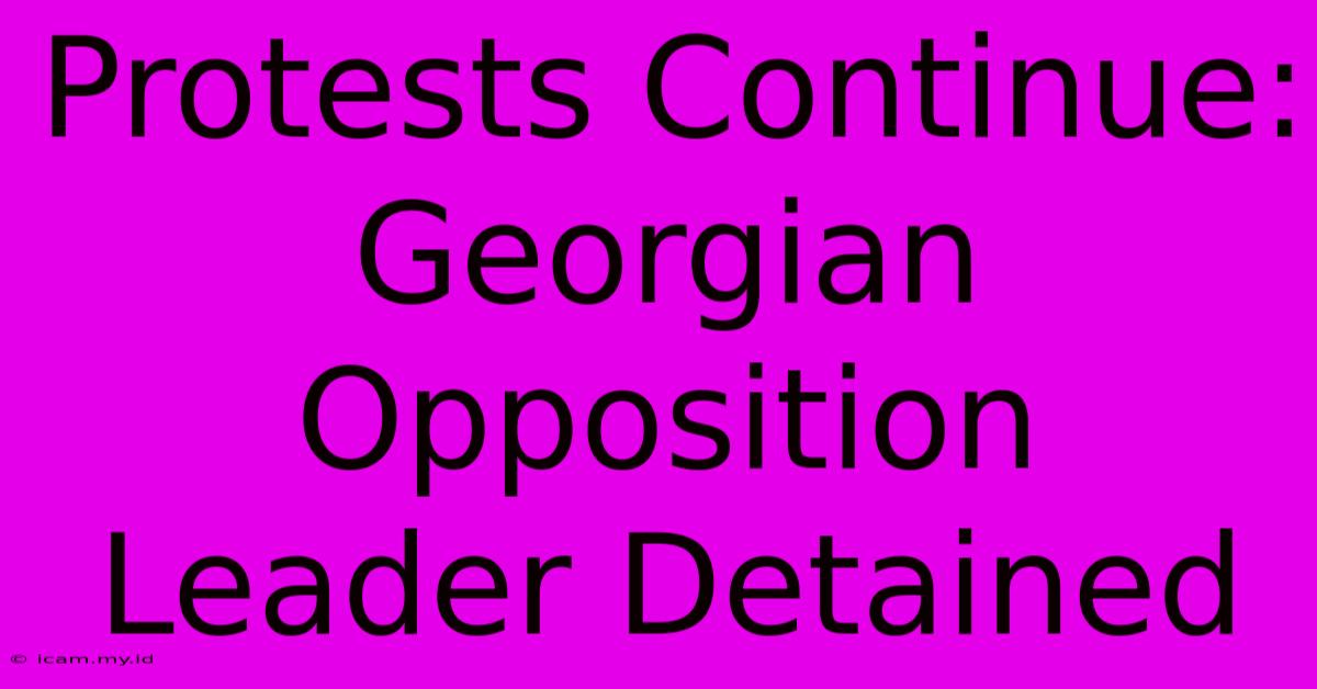 Protests Continue: Georgian Opposition Leader Detained