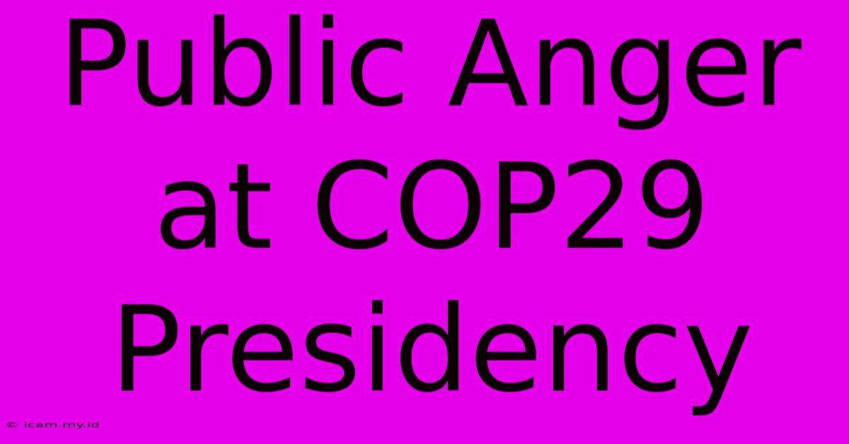 Public Anger At COP29 Presidency