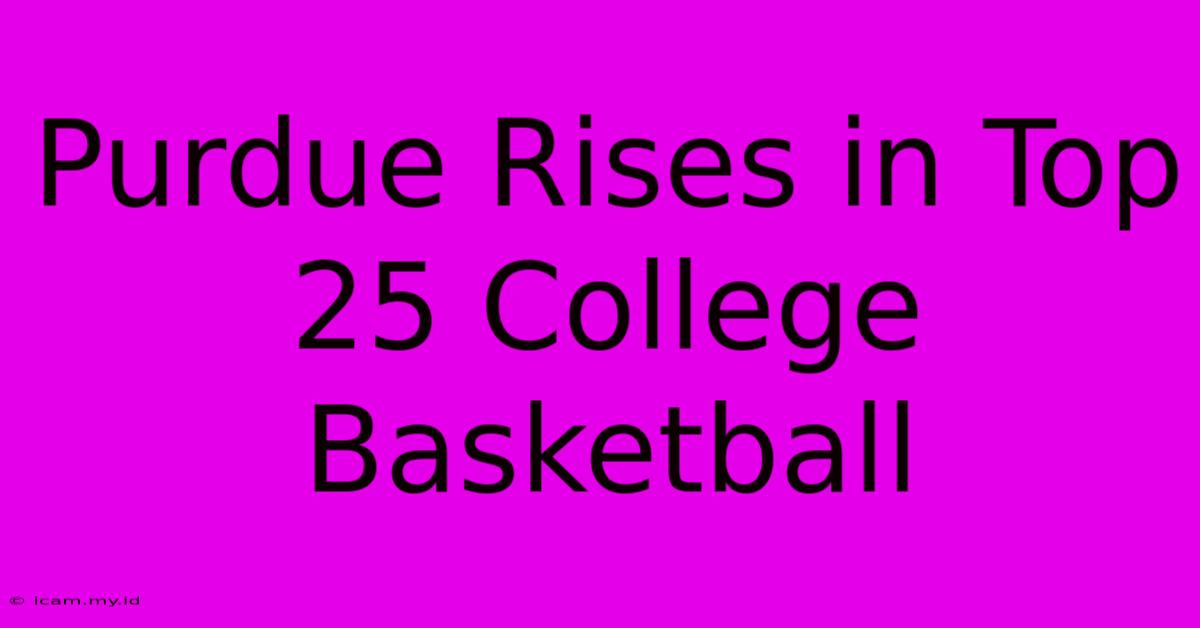 Purdue Rises In Top 25 College Basketball