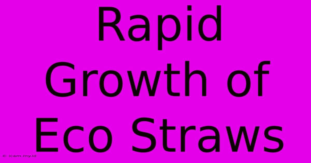 Rapid Growth Of Eco Straws