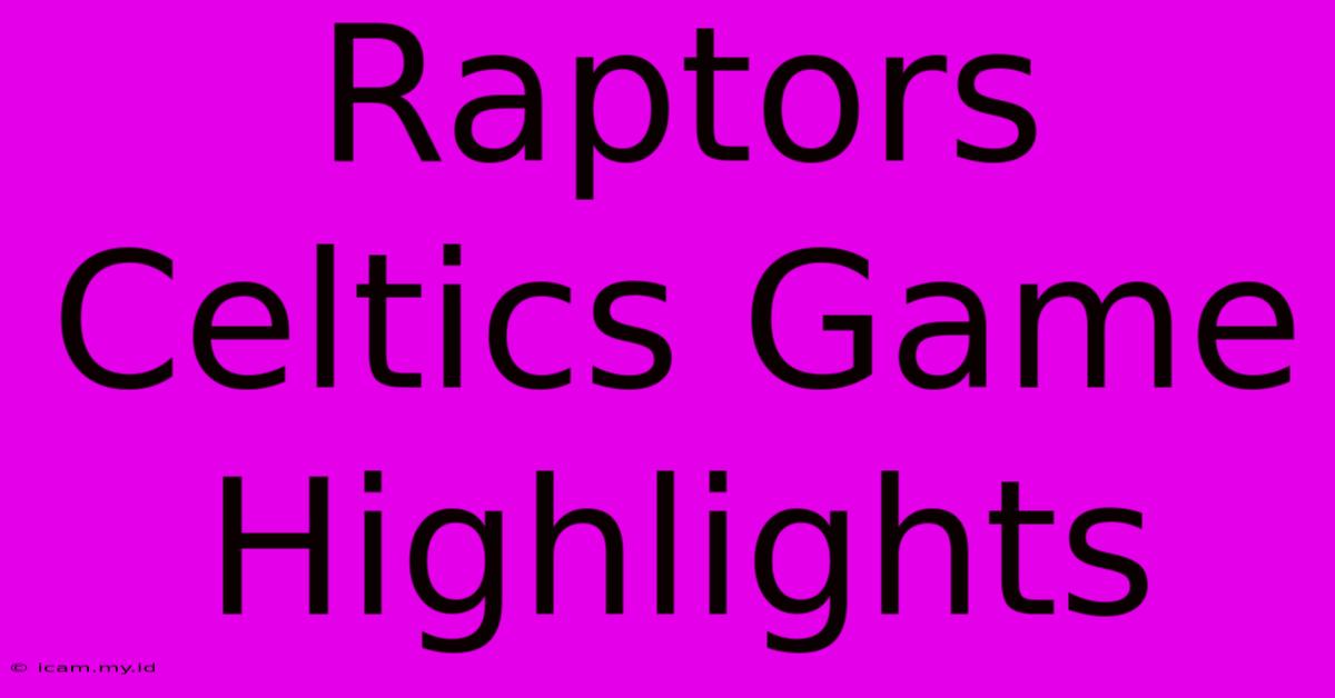 Raptors Celtics Game Highlights