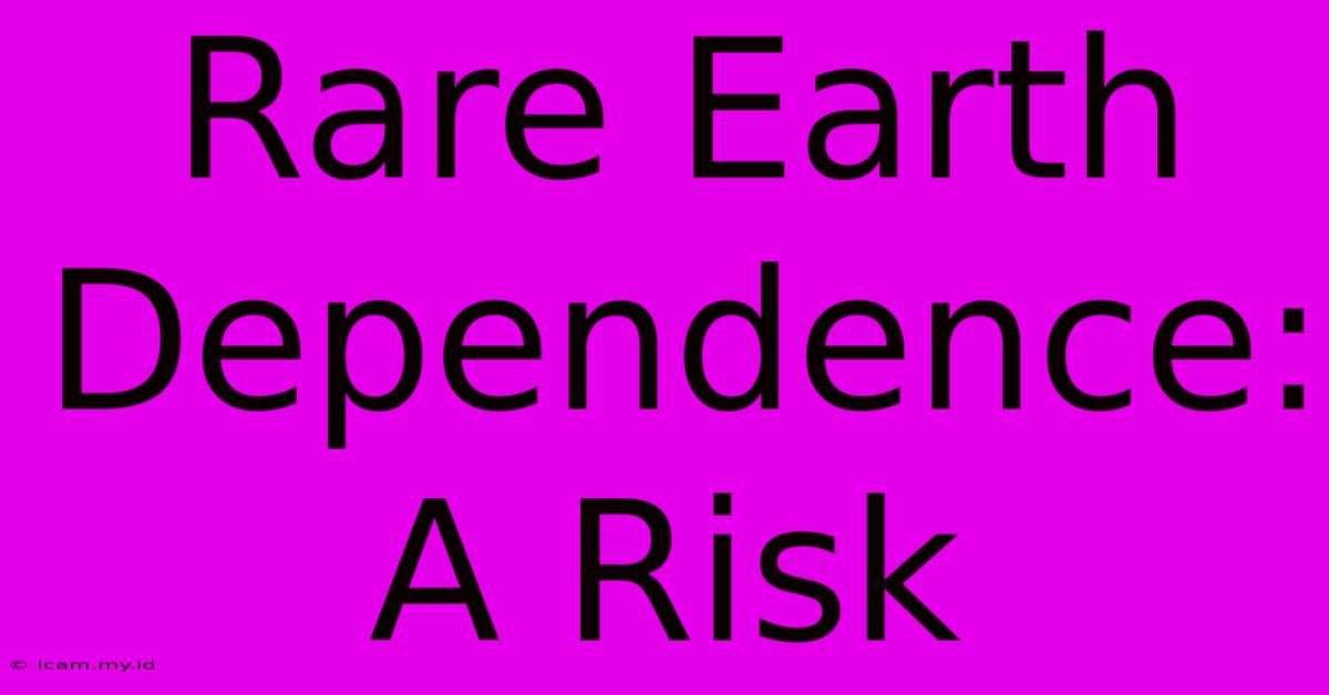 Rare Earth Dependence: A Risk