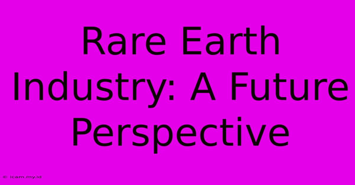 Rare Earth Industry: A Future Perspective