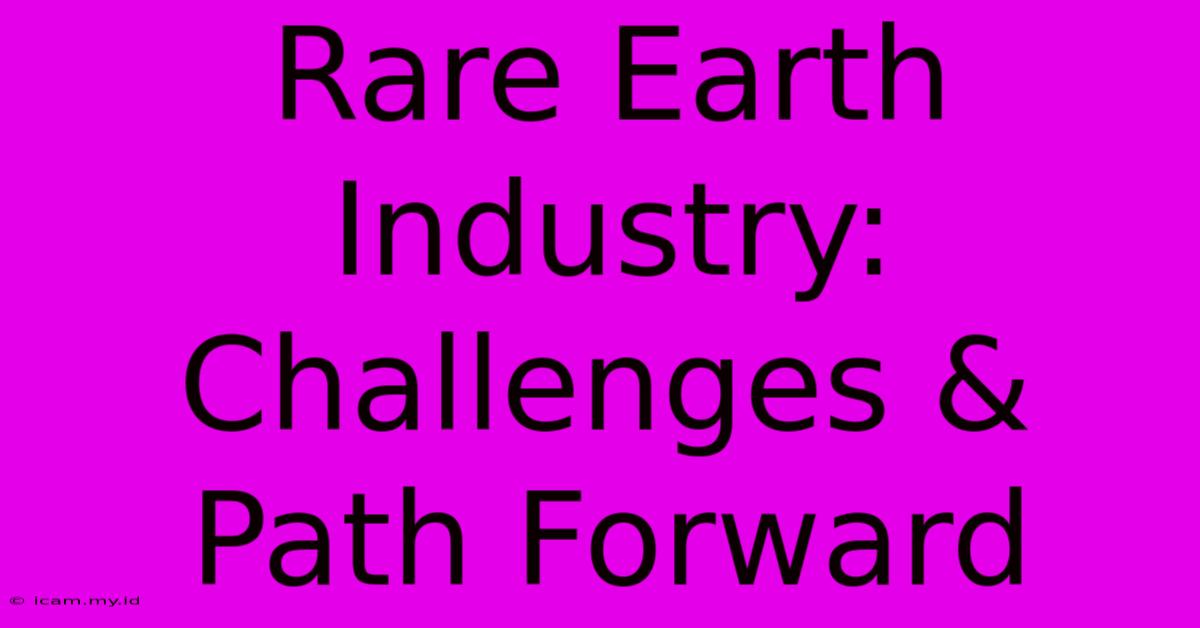 Rare Earth Industry: Challenges & Path Forward