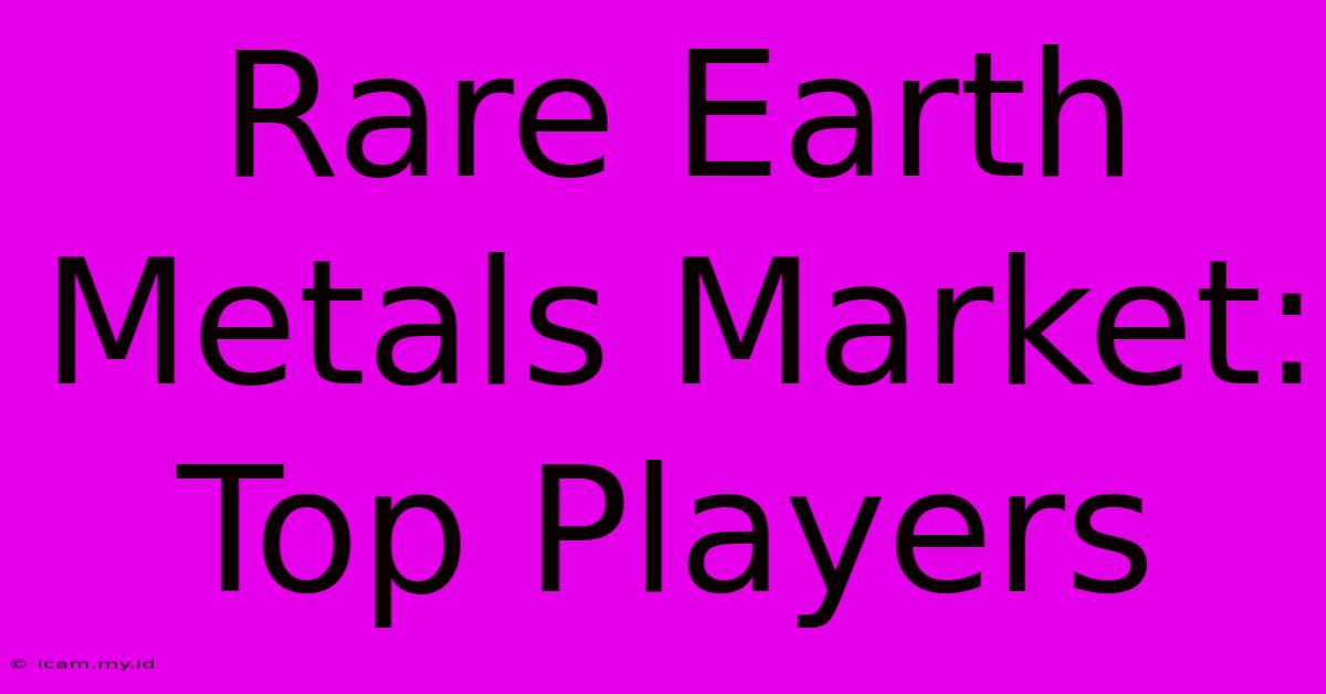 Rare Earth Metals Market: Top Players