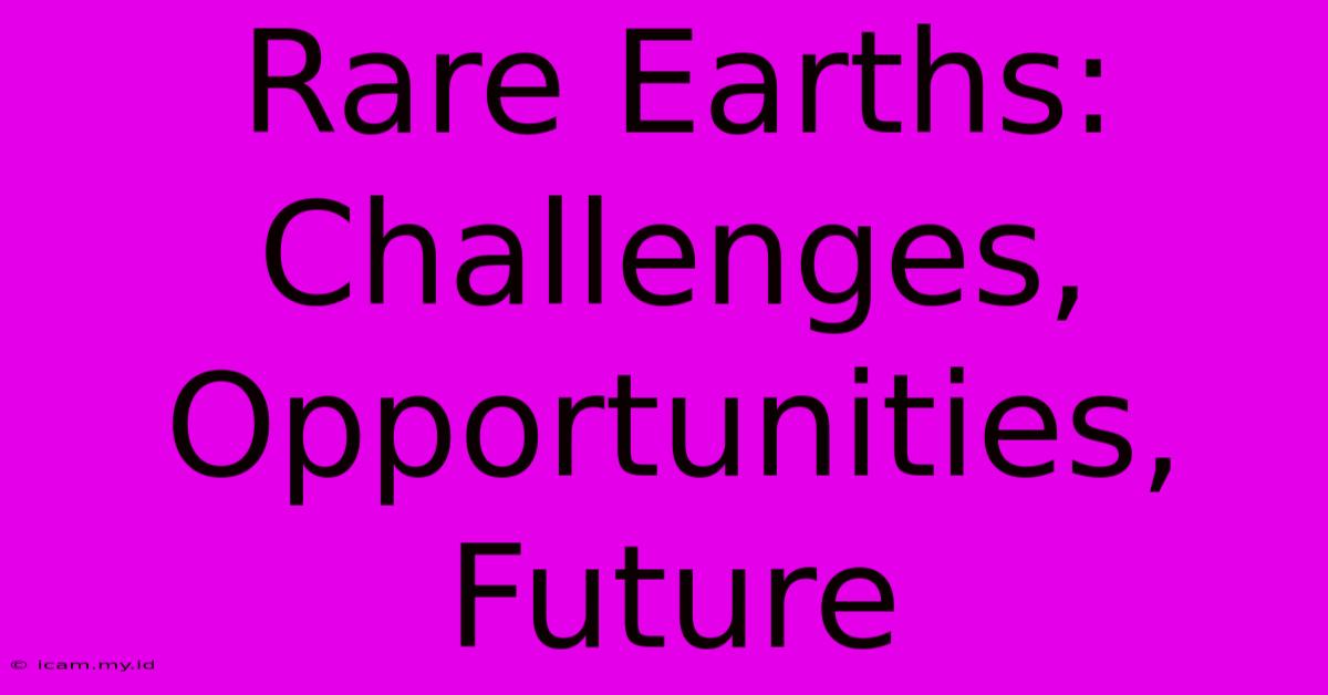 Rare Earths: Challenges, Opportunities, Future