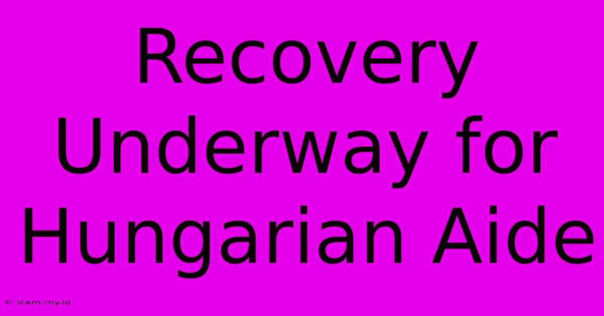 Recovery Underway For Hungarian Aide