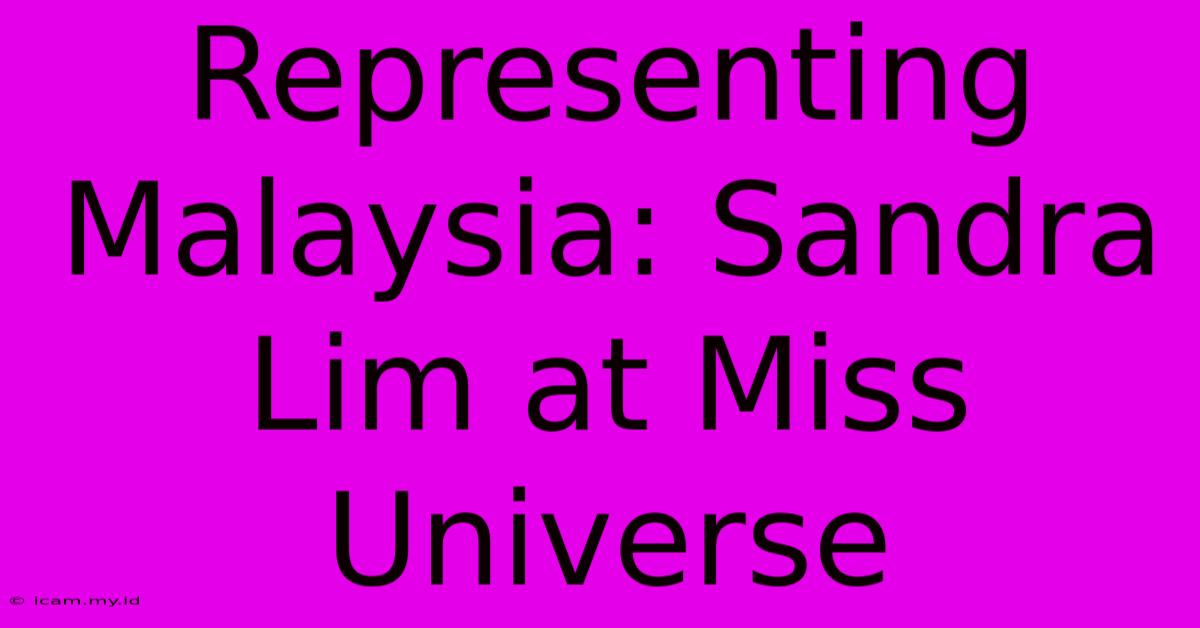 Representing Malaysia: Sandra Lim At Miss Universe