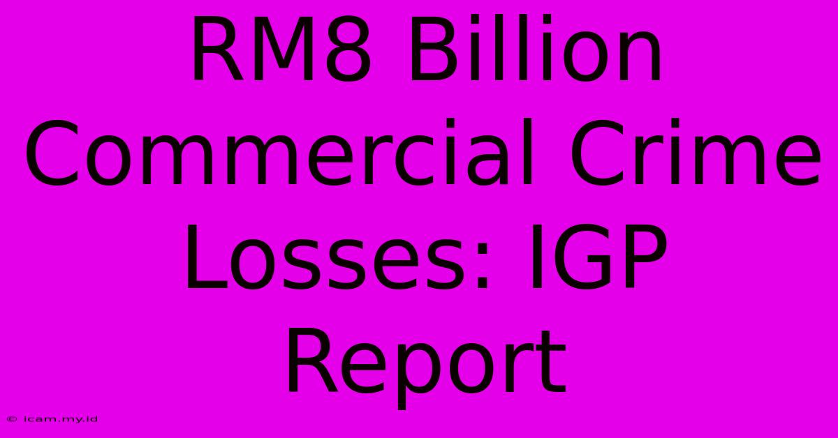 RM8 Billion Commercial Crime Losses: IGP Report