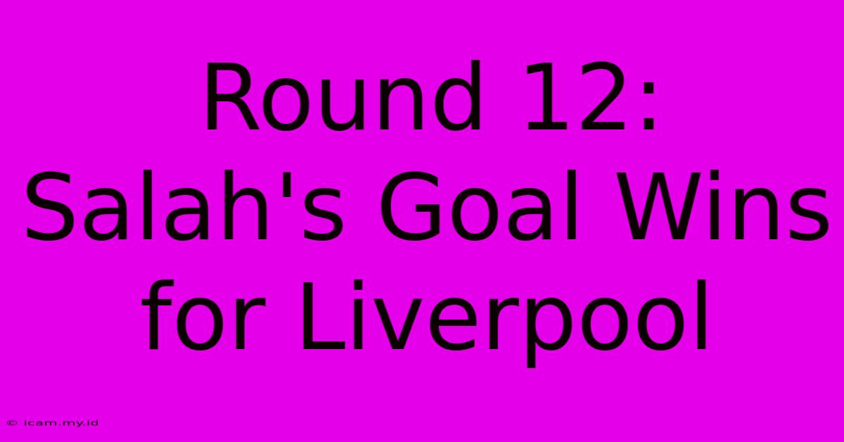 Round 12: Salah's Goal Wins For Liverpool