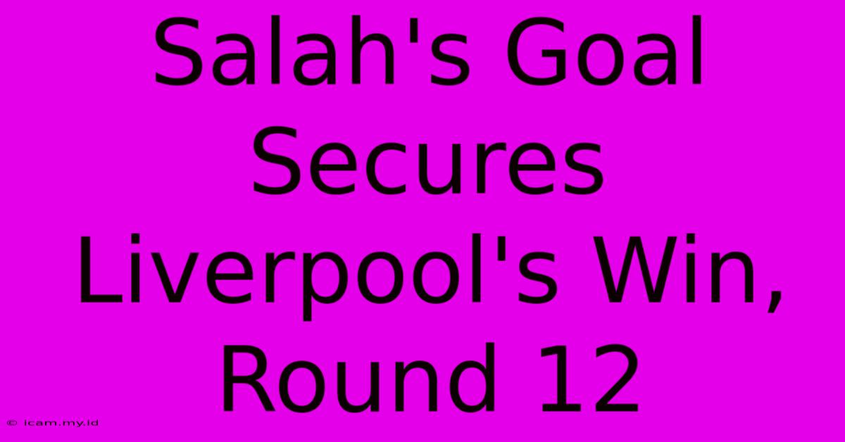 Salah's Goal Secures Liverpool's Win, Round 12