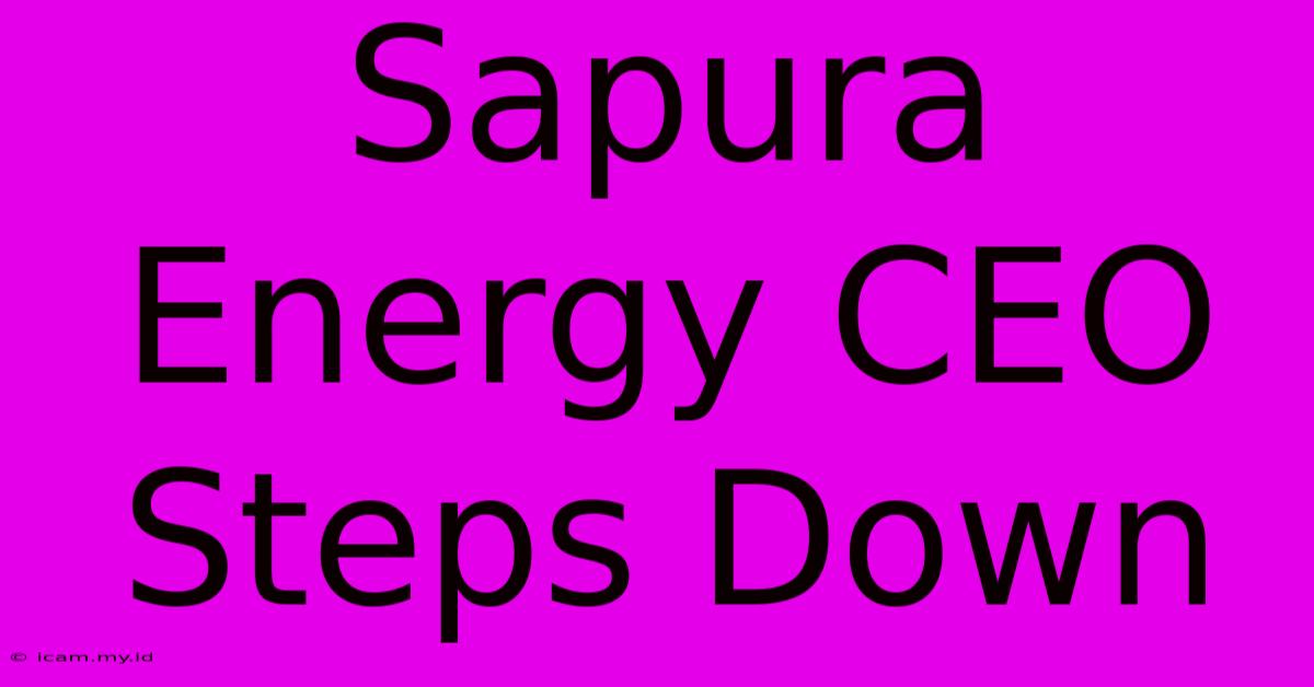 Sapura Energy CEO Steps Down