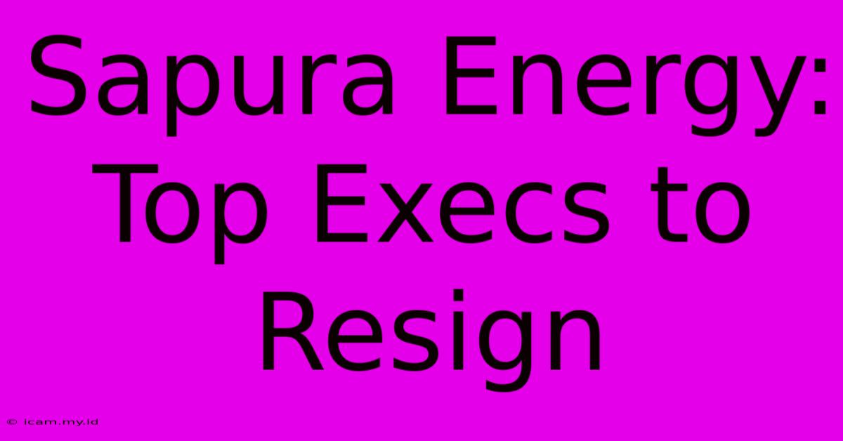 Sapura Energy: Top Execs To Resign