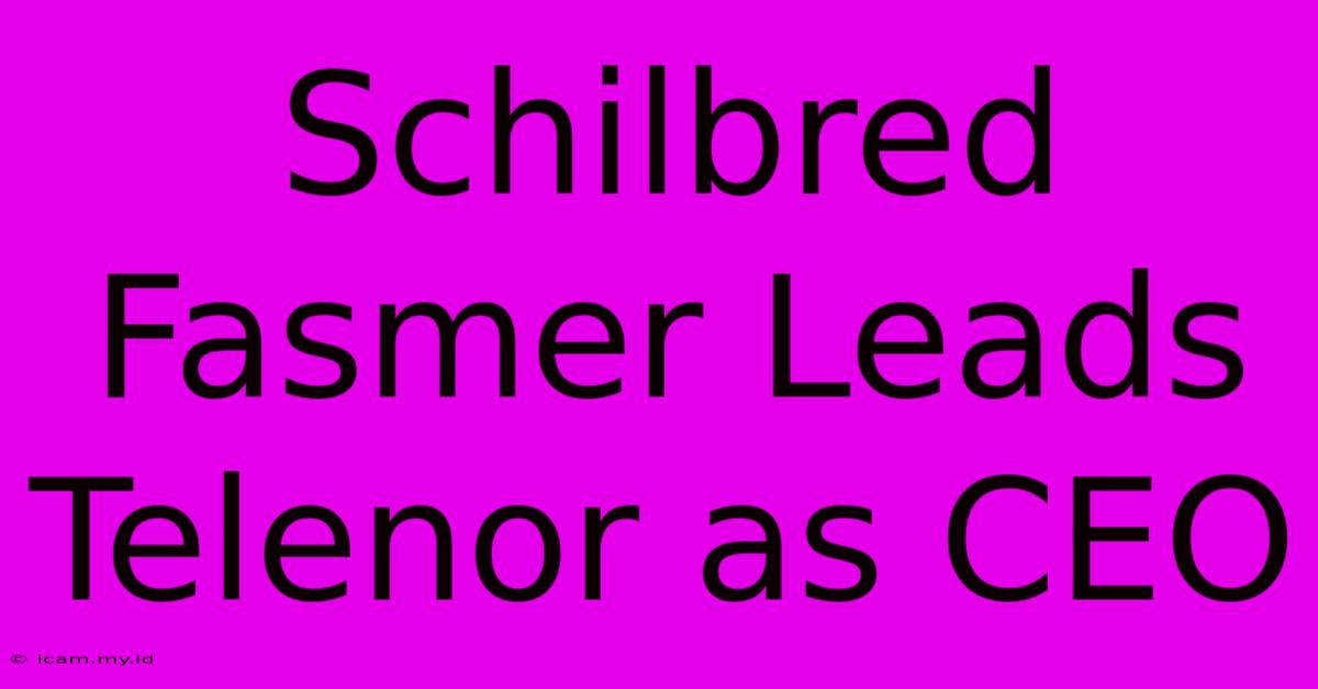 Schilbred Fasmer Leads Telenor As CEO