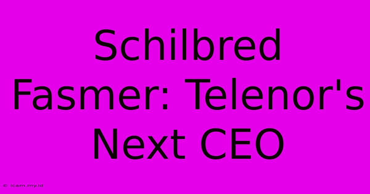 Schilbred Fasmer: Telenor's Next CEO