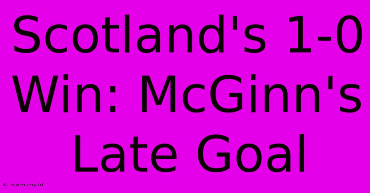 Scotland's 1-0 Win: McGinn's Late Goal