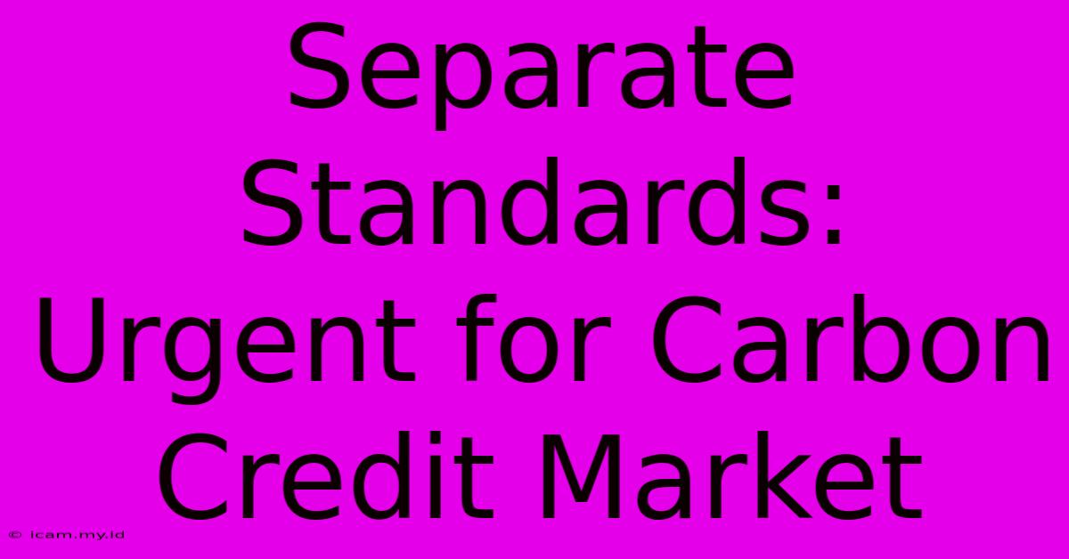 Separate Standards: Urgent For Carbon Credit Market