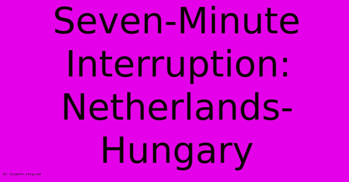 Seven-Minute Interruption: Netherlands-Hungary