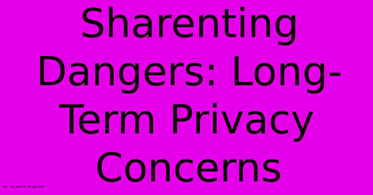 Sharenting Dangers: Long-Term Privacy Concerns