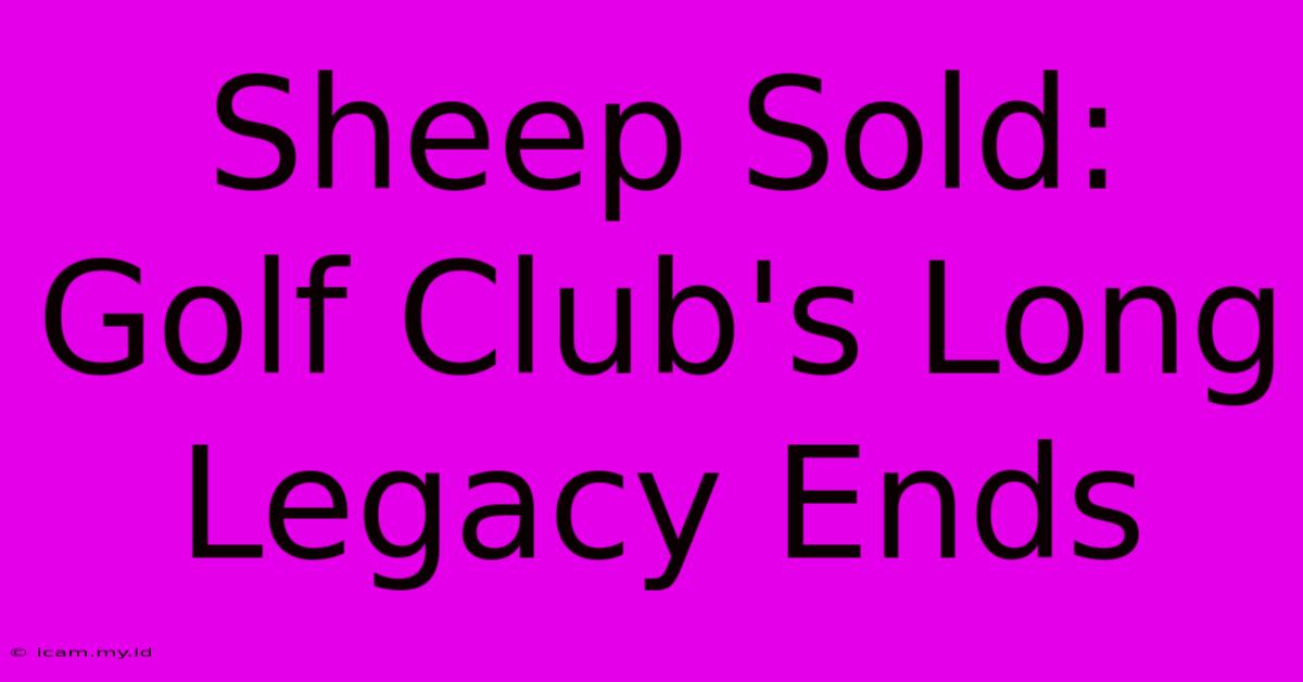 Sheep Sold: Golf Club's Long Legacy Ends