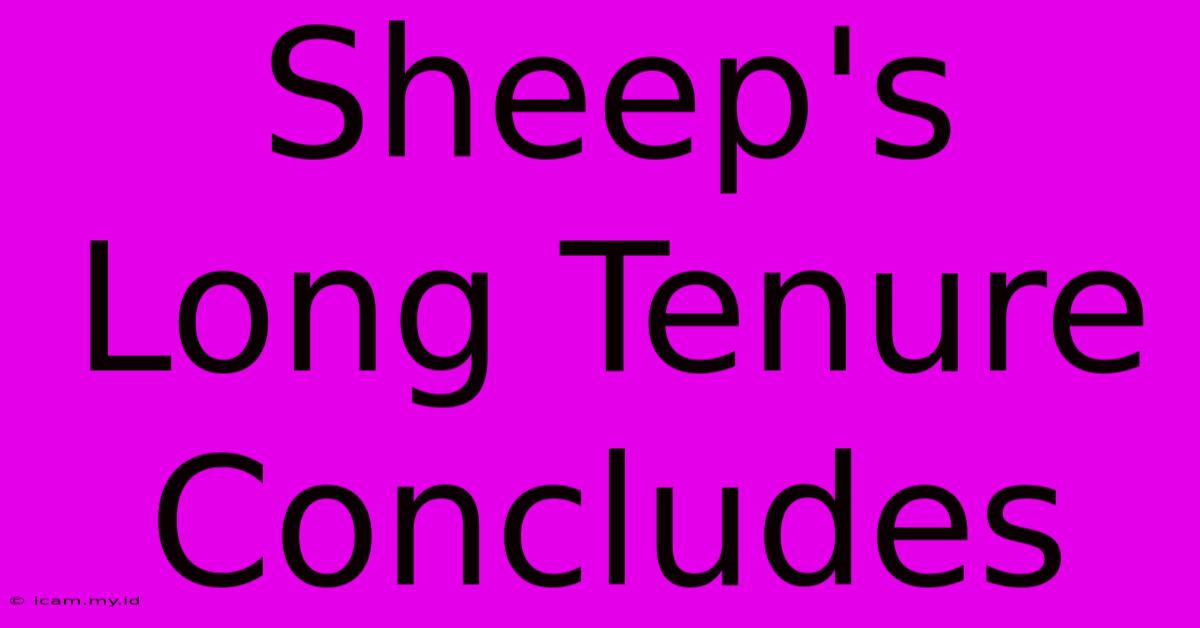 Sheep's Long Tenure Concludes