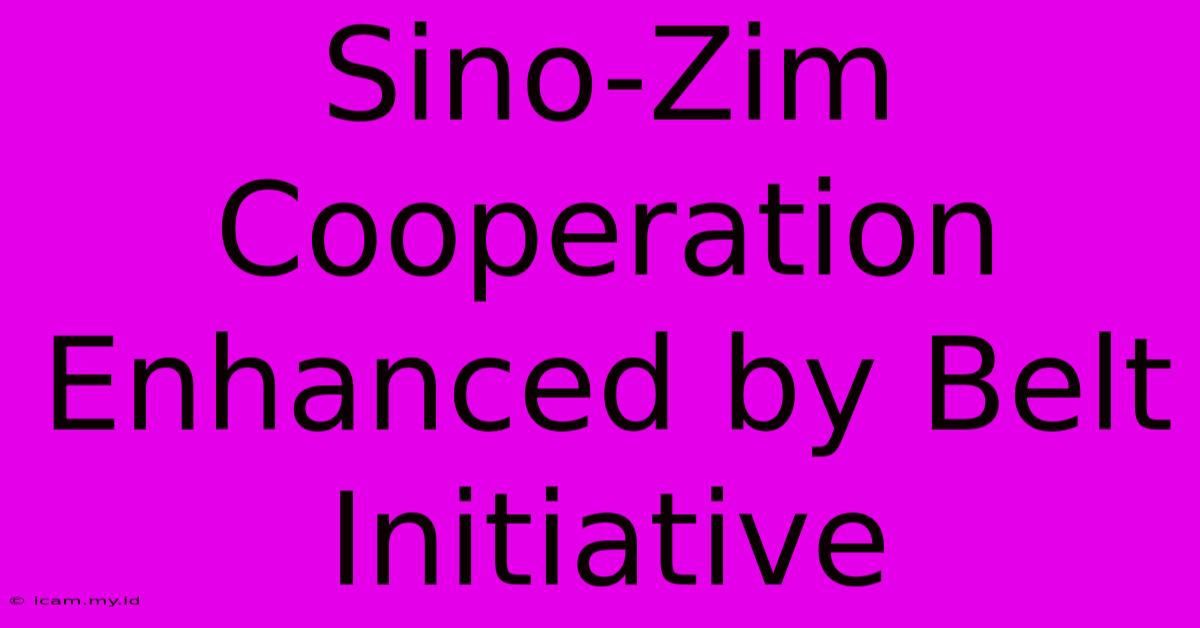 Sino-Zim Cooperation Enhanced By Belt Initiative