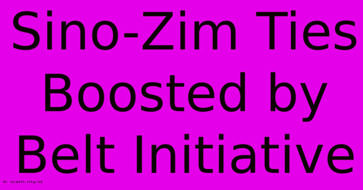 Sino-Zim Ties Boosted By Belt Initiative