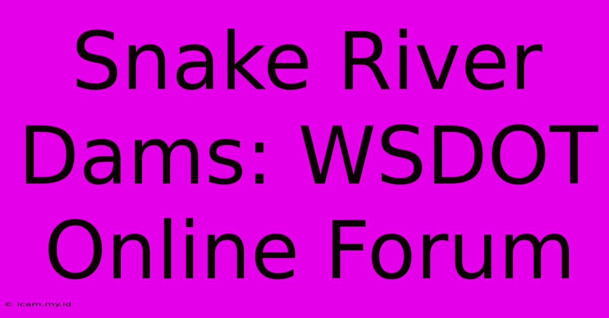 Snake River Dams: WSDOT Online Forum