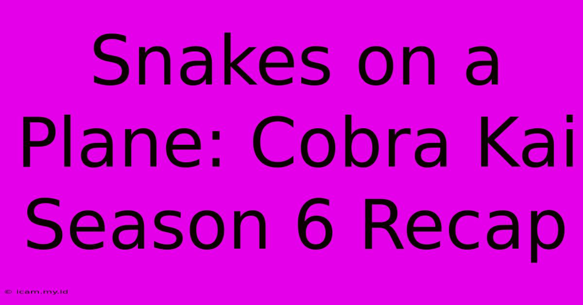 Snakes On A Plane: Cobra Kai Season 6 Recap