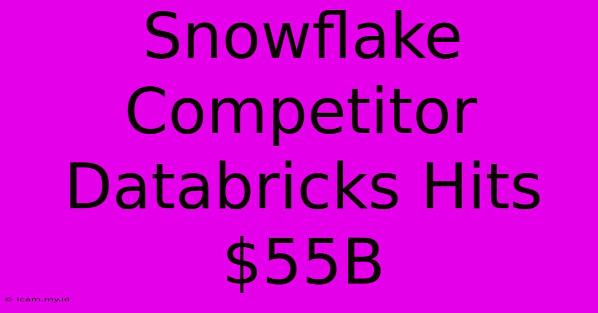 Snowflake Competitor Databricks Hits $55B