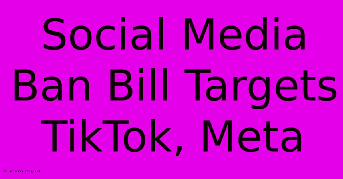 Social Media Ban Bill Targets TikTok, Meta