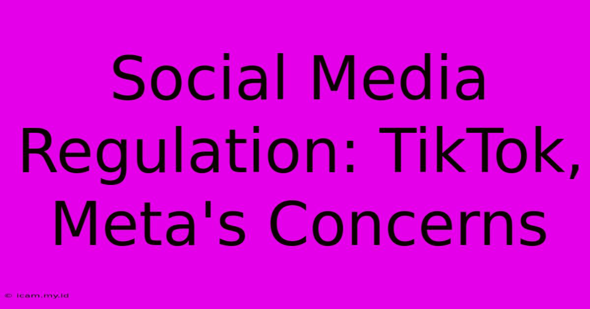 Social Media Regulation: TikTok, Meta's Concerns