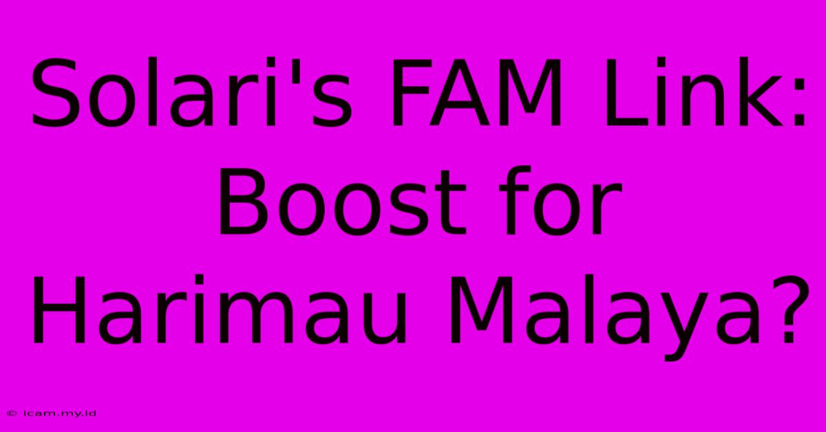 Solari's FAM Link:  Boost For Harimau Malaya?