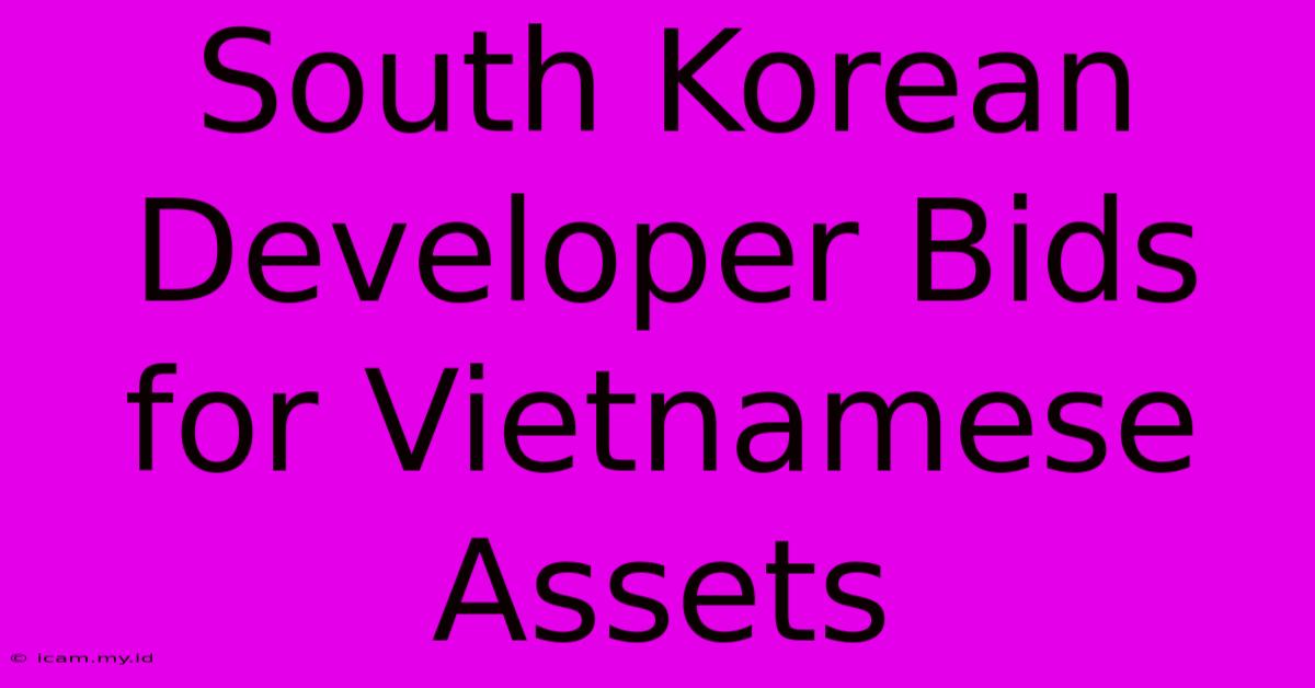 South Korean Developer Bids For Vietnamese Assets