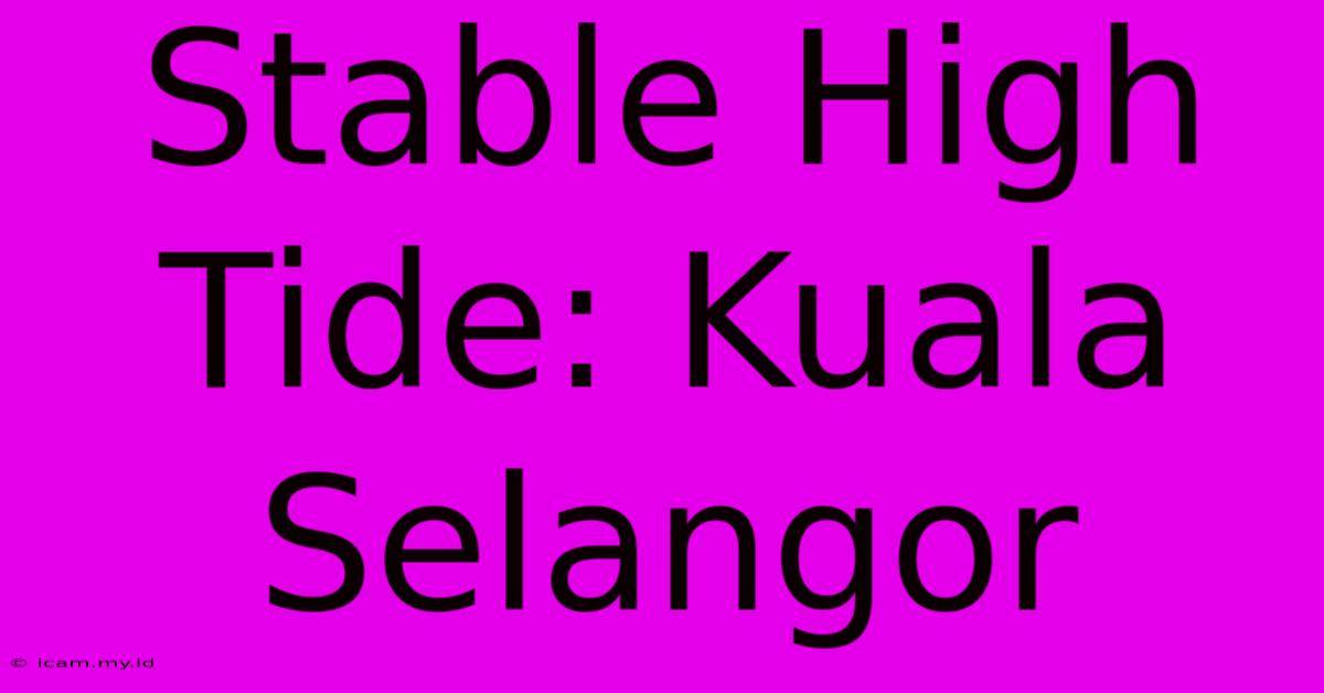 Stable High Tide: Kuala Selangor