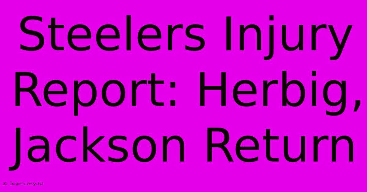 Steelers Injury Report: Herbig, Jackson Return