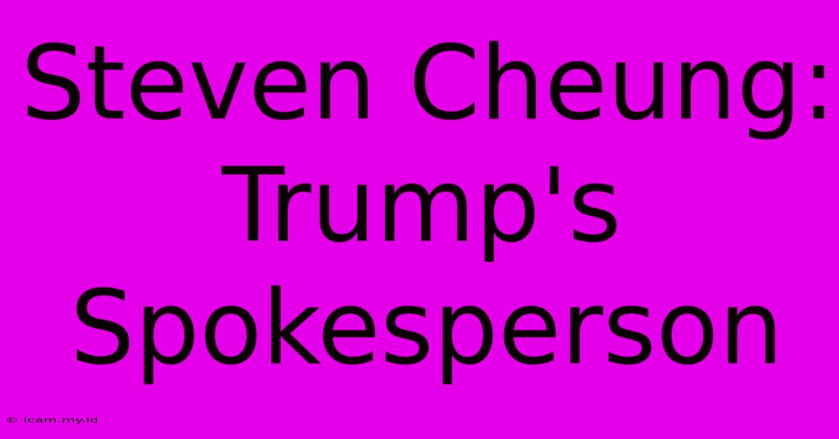 Steven Cheung: Trump's Spokesperson