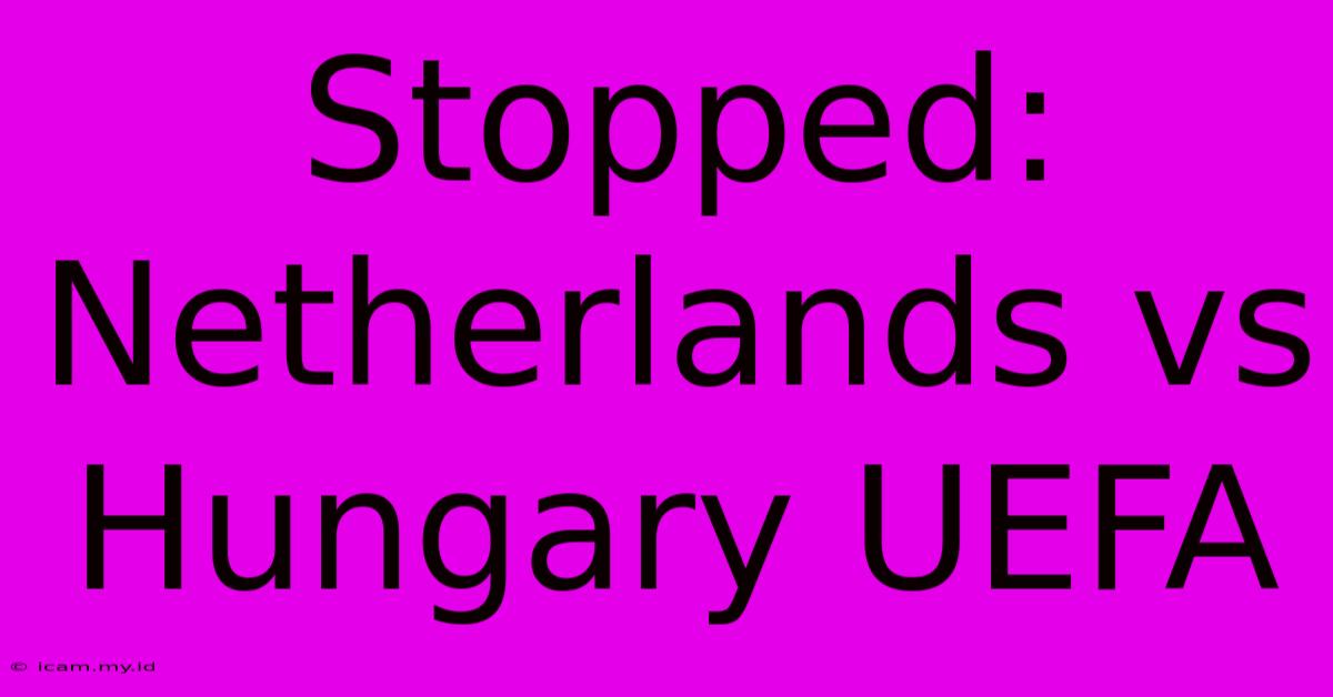 Stopped: Netherlands Vs Hungary UEFA