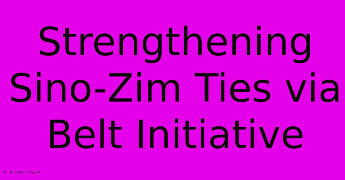 Strengthening Sino-Zim Ties Via Belt Initiative