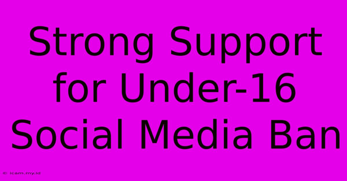 Strong Support For Under-16 Social Media Ban