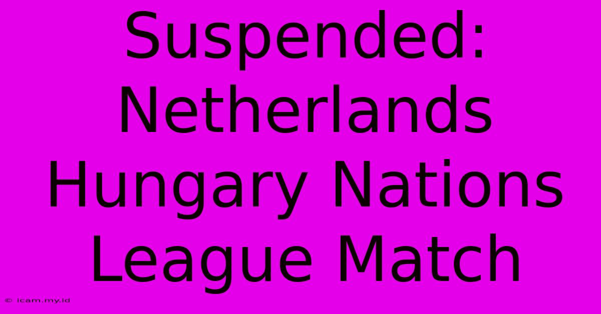 Suspended: Netherlands Hungary Nations League Match