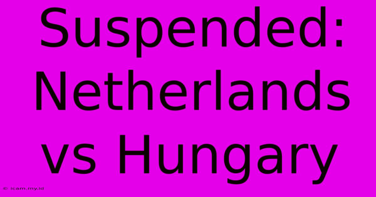 Suspended: Netherlands Vs Hungary