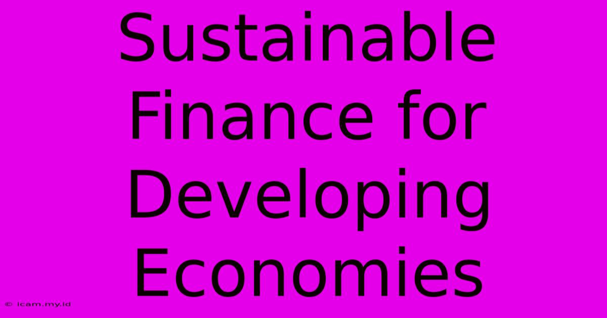 Sustainable Finance For Developing Economies