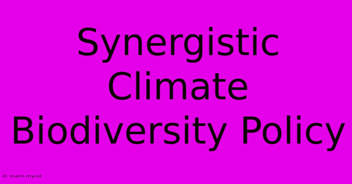 Synergistic Climate Biodiversity Policy