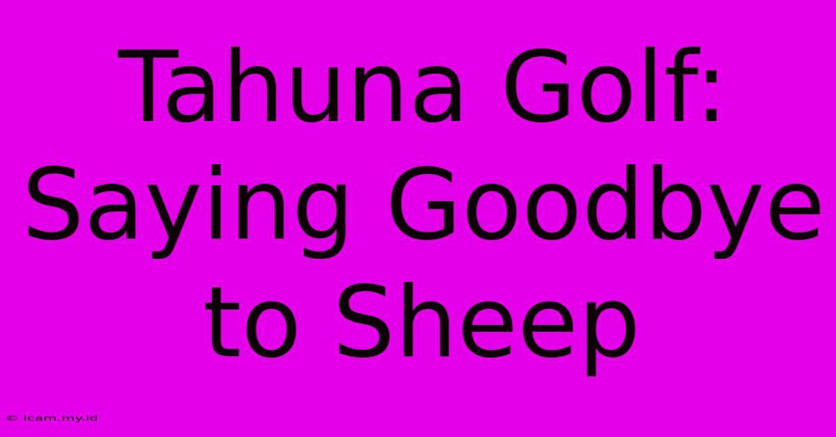 Tahuna Golf:  Saying Goodbye To Sheep