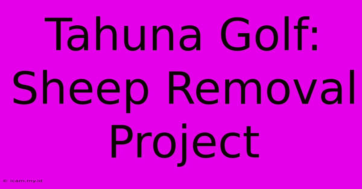 Tahuna Golf: Sheep Removal Project