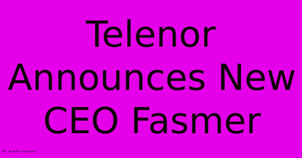 Telenor Announces New CEO Fasmer