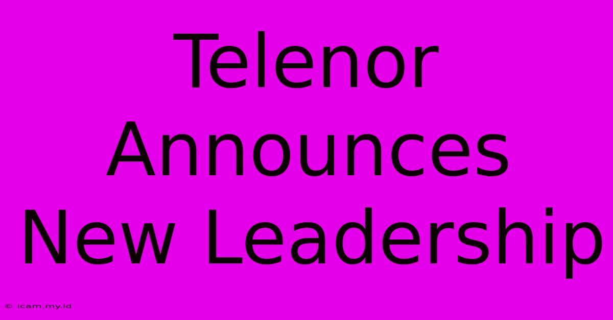 Telenor Announces New Leadership